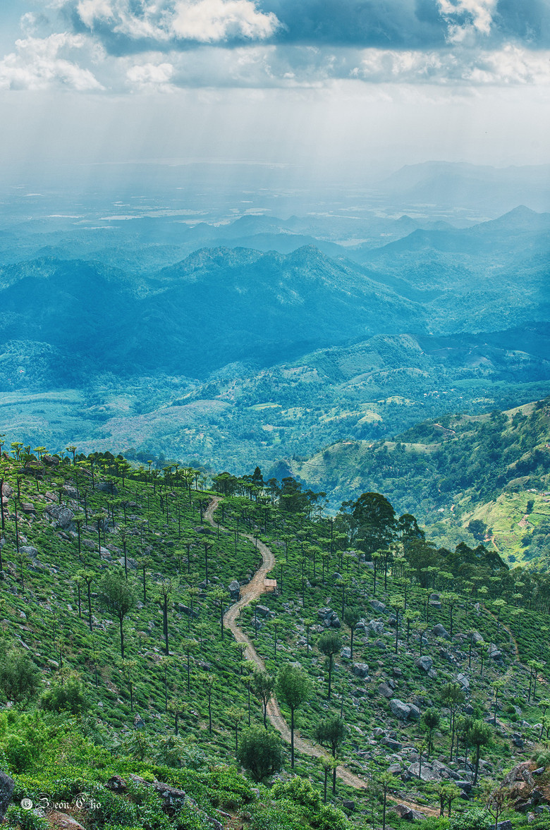 想学摄影,求推荐相机