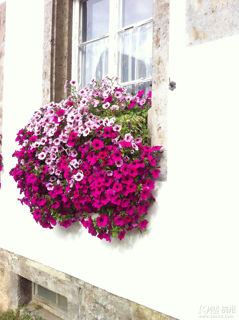 _v Rothenburg ob der Tauberꮅ