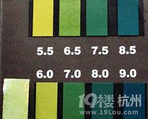 头屑高发季，选对去屑洗发水，和头皮屑说拜拜