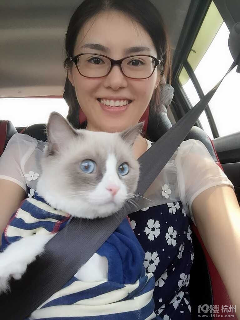 【人猫大作战】萌到你了没?-爱宠分享-家有宠物-杭州19楼