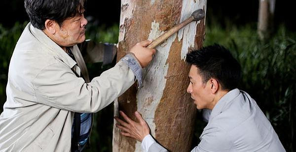 技术贴:杨幂演盲人到底像不像?-影片推荐-电影