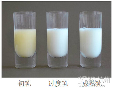 母乳什么颜色最营养?阶段不同营养不同