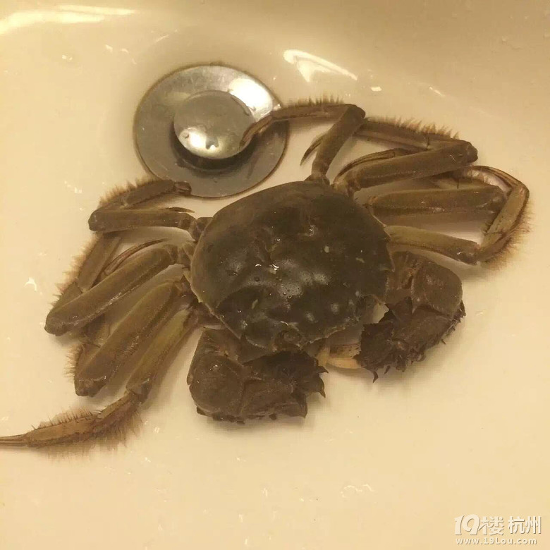 【2015之旅】+我和你，如影相随