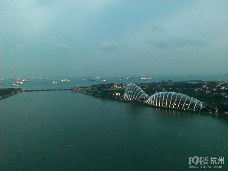 11.11,花样老年团,奔赴新加坡