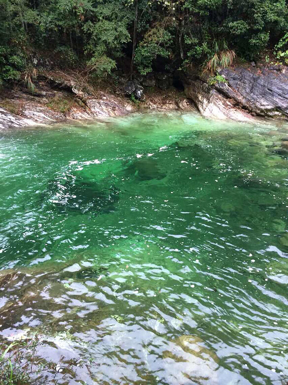 【手機相冊】清澈見底的湖水