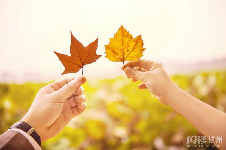 我们都是平凡人,爱情却一波三折好事多磨-结婚