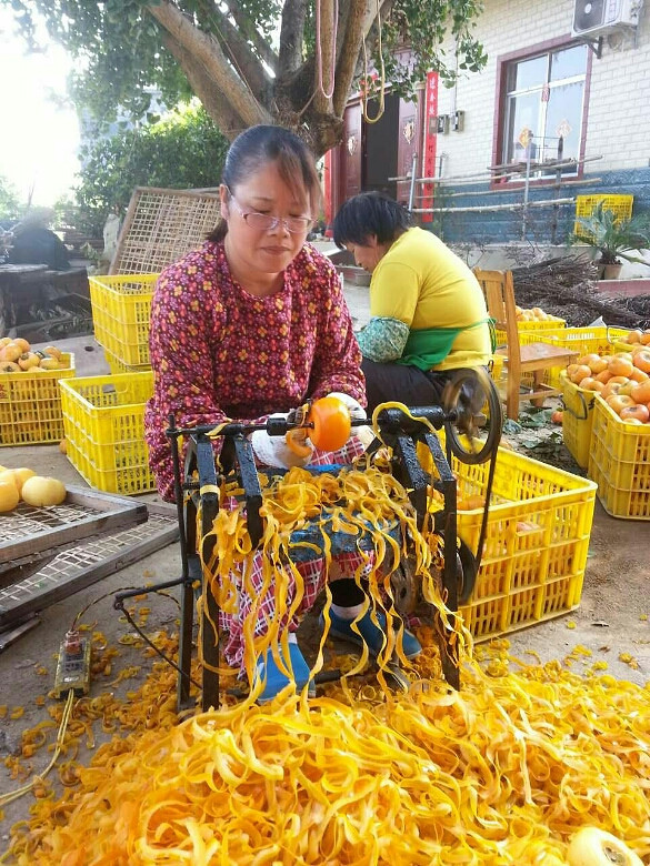 可以去桂林看看