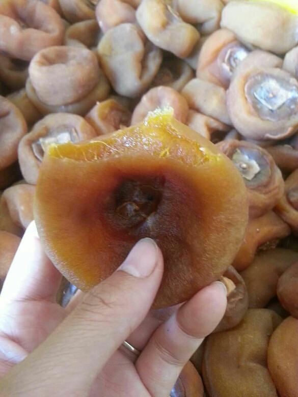 可以去桂林看看