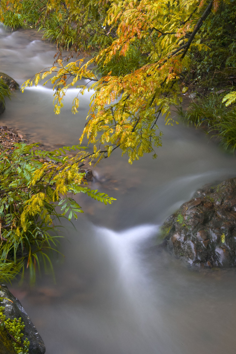 雨中九溪-风景照-19摄区-杭州19楼