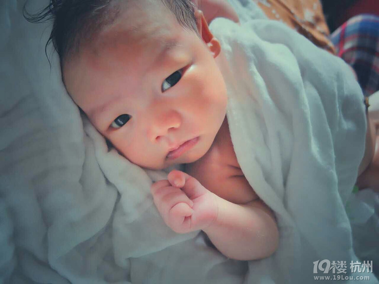【寶寶的2015】+羊羊羊誕生記