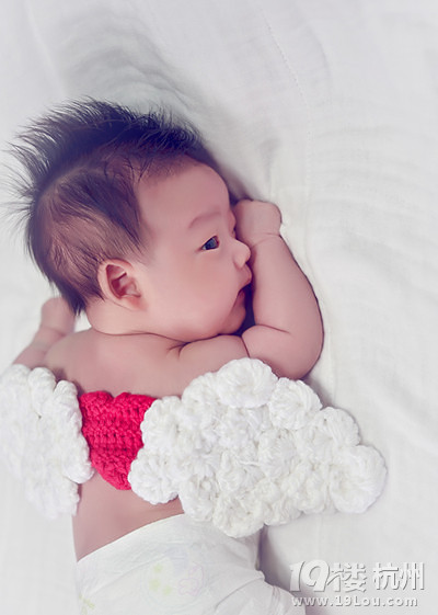 【寶寶的2015】+羊羊羊誕生記