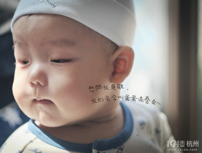 【寶寶的2015】+羊羊羊誕生記