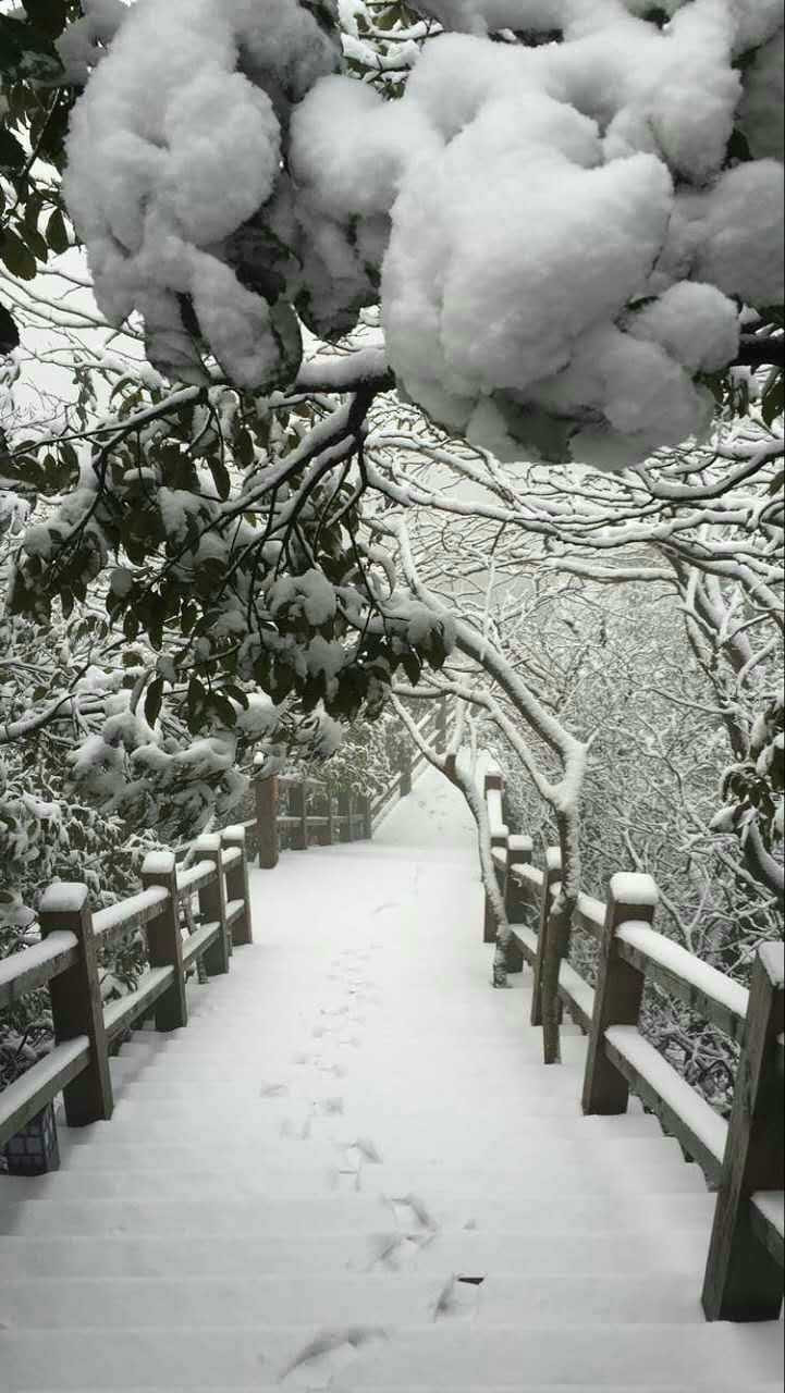 南山竹海降初雪绝佳雪景美煞游客