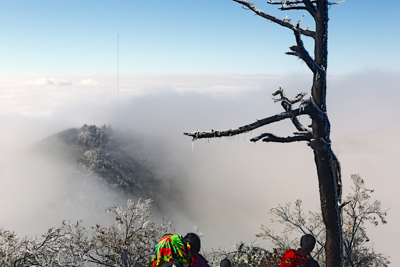 风雪杏梅尖-风景照-19摄区-杭州19楼