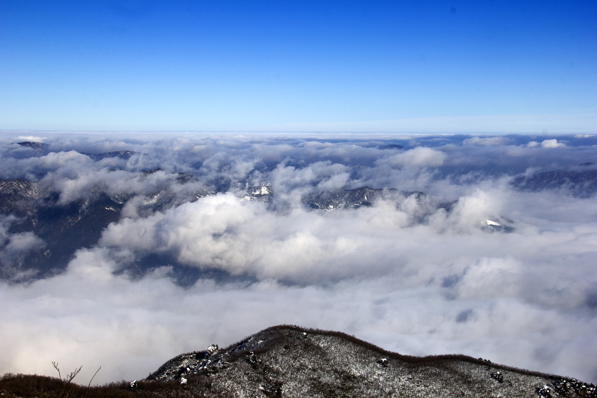 天目山探险之旅(3)顶峰 云海
