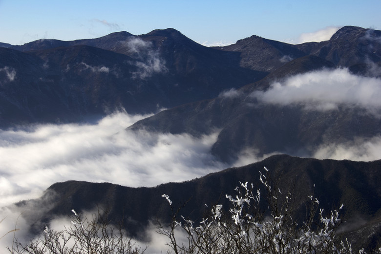 天目山探险之旅(3)顶峰 云海