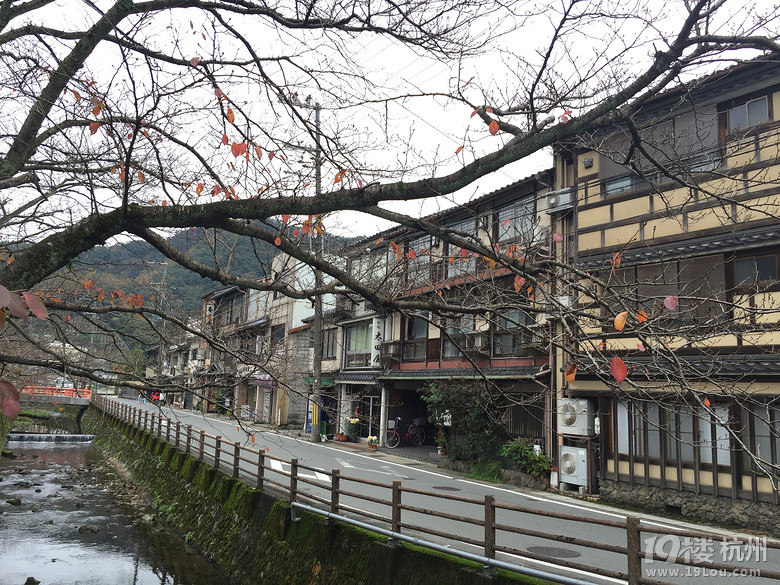 溫泉、螃蟹、楓葉——游走日本8天