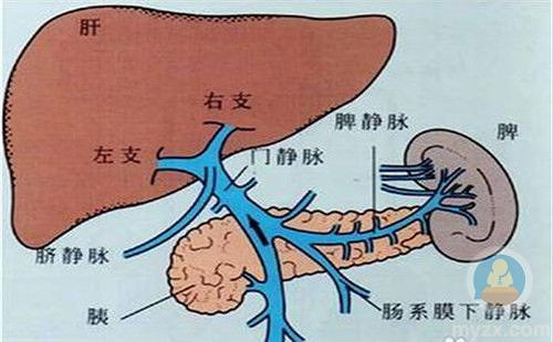 妊娠期急性脂肪肝,危害有多大?