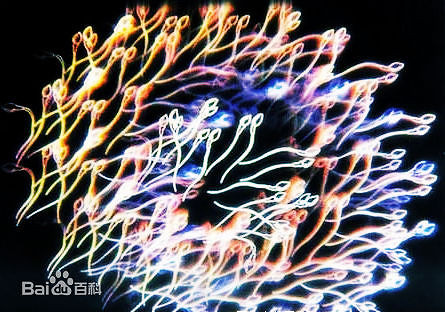 精子是什么颜色