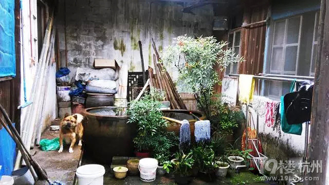 距離杭州只有1.5h的冷門小城,比烏鎮(zhèn)更有韻味、比靈隱更有禪意!