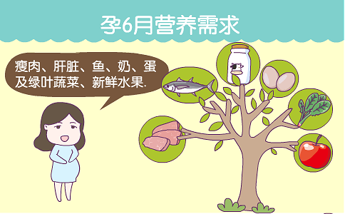 孕6月营养需求  应如何摄入营养？