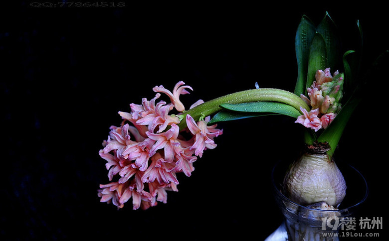 阴阳瑜伽 加强健身效果-瑜伽-结伴健身-杭州19