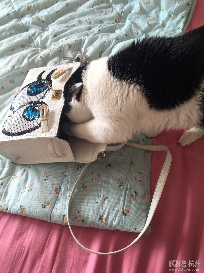 快过年了,拿点钱花花娶个媳妇