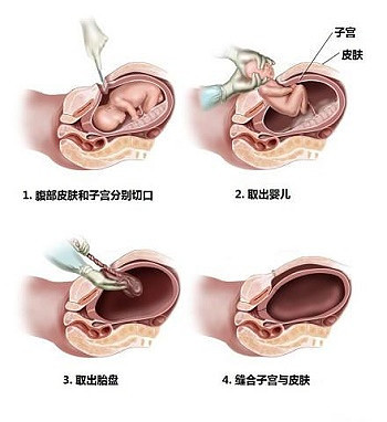 胎儿发育标准?准妈妈早了解~