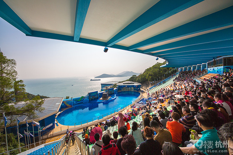 脫掉秋褲去旅行-香港圣誕季之旅