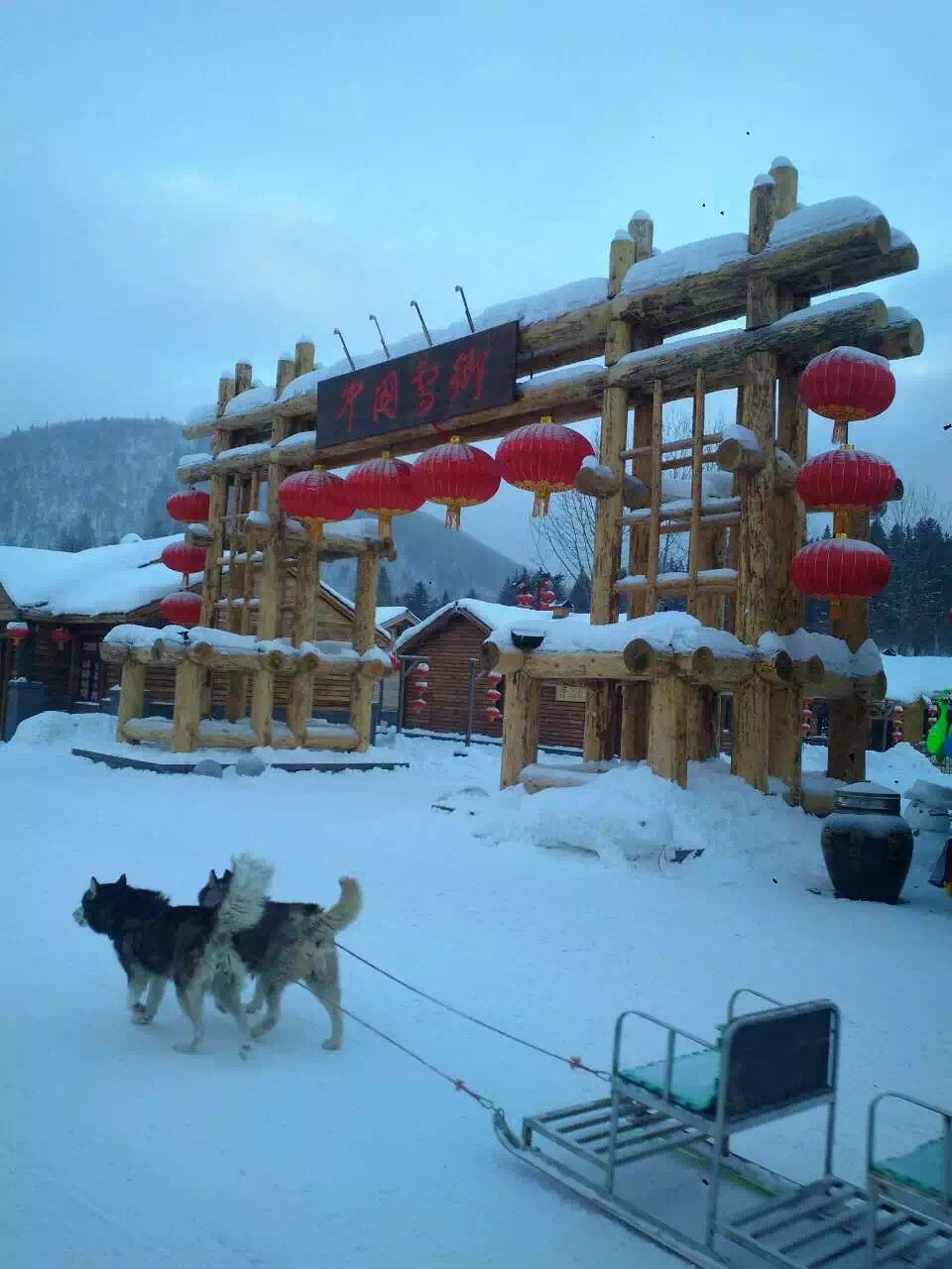 大东北,这个屯儿,要造起来!