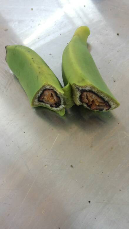 青香蕉,里面黑的