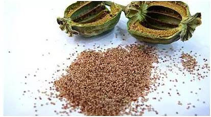 周黑鸭,北京胡大等35家餐企食品中检出罂粟壳成分?杭州