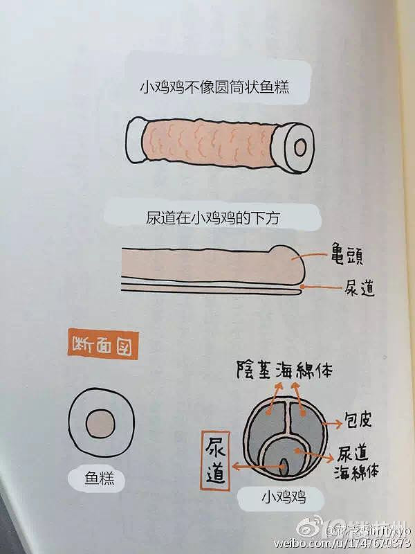 让我悄悄地告诉你,那些小鸡鸡的故事-写给0-9岁