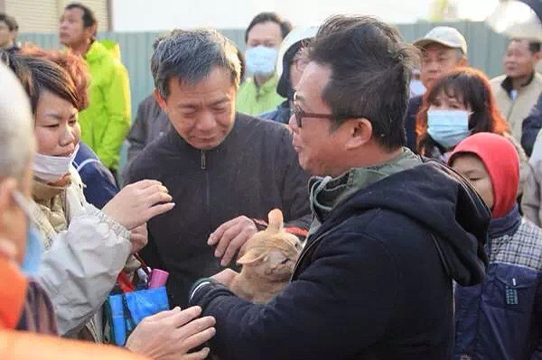 台湾地震暖心一幕:一只猫救了7岁孩子生命-百