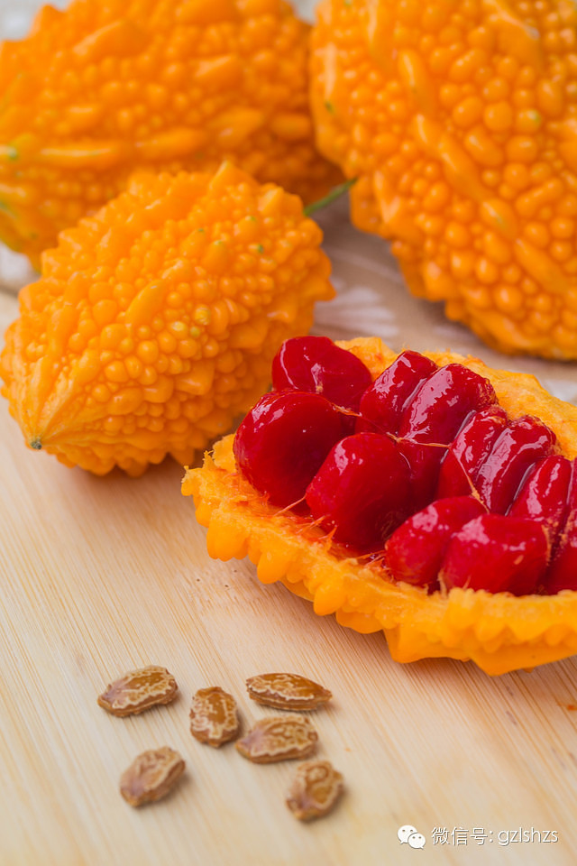 要高于普通土豆的一半 癞葡萄 在江南十分常见 在咱们温州被称为红娘