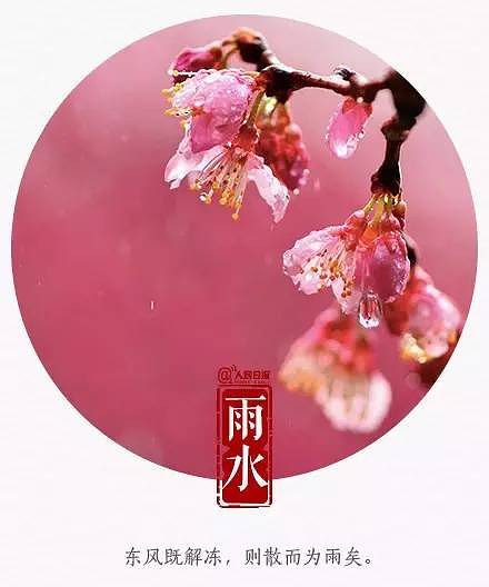 独家澄清:中国留学生被加拿大撤签并非因为表