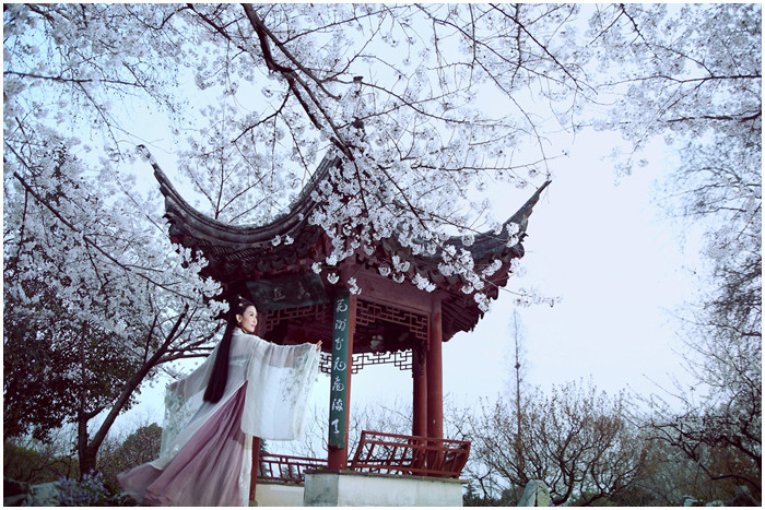 【春日美人图】东风不负,长趁花期.