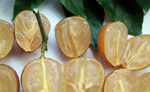 孕妇能吃黄皮果吗?孕妇吃水果要注意咯-宝妈知