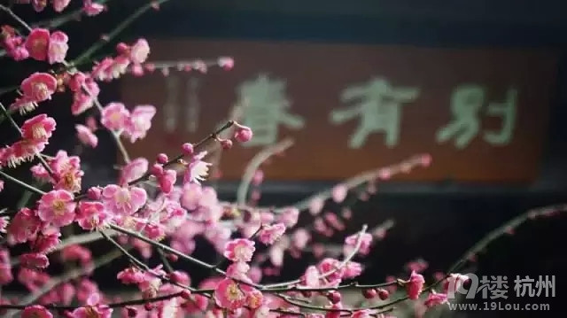 9(du)ˇp
