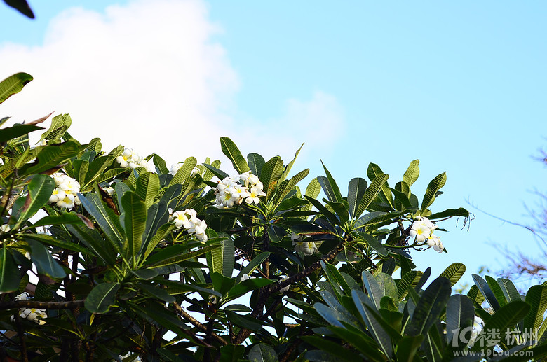 ҵĻӴ(ji)һqԪ⡰K÷uħ֮ã꣩