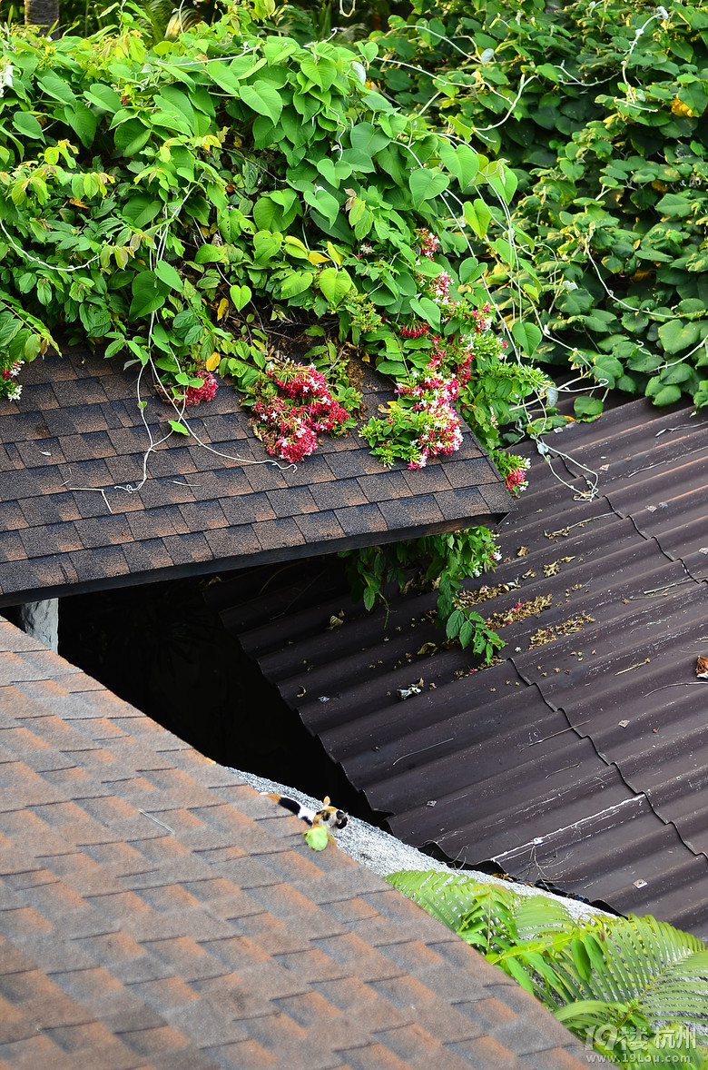 ҵĻӴ(ji)һqԪ⡰K÷uħ֮ã꣩