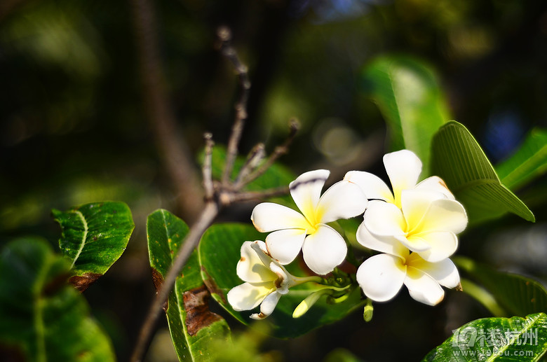 ҵĻӴ(ji)һqԪ⡰K÷uħ֮ã꣩