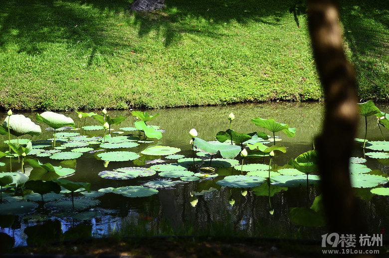 ҵĻӴ(ji)һqԪ⡰K÷uħ֮ã꣩