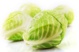 卷心菜的做法 肉末卷心菜