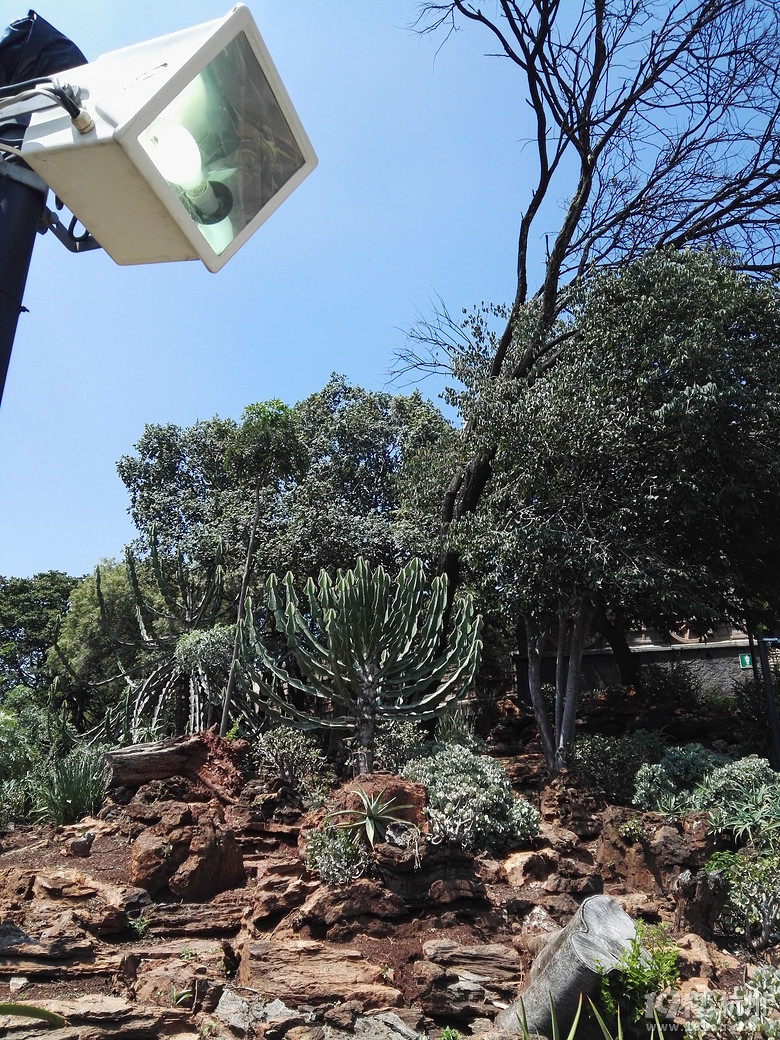 2016.2.23-3.1 带着父母去旅行----南非（South Africa）8日游