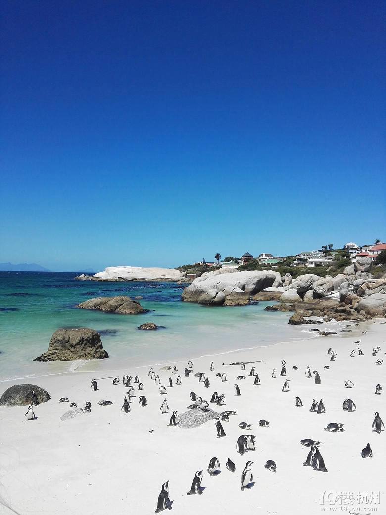 2016.2.23-3.1 带着父母去旅行----南非（South Africa）8日游