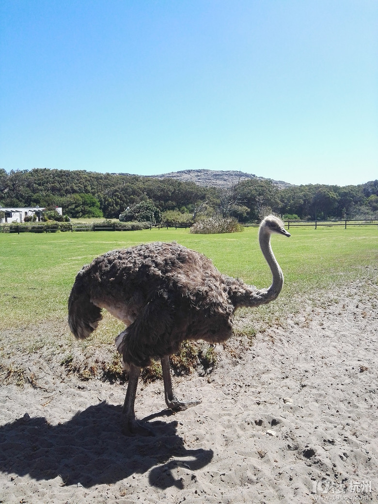 2016.2.23-3.1 带着父母去旅行----南非（South Africa）8日游