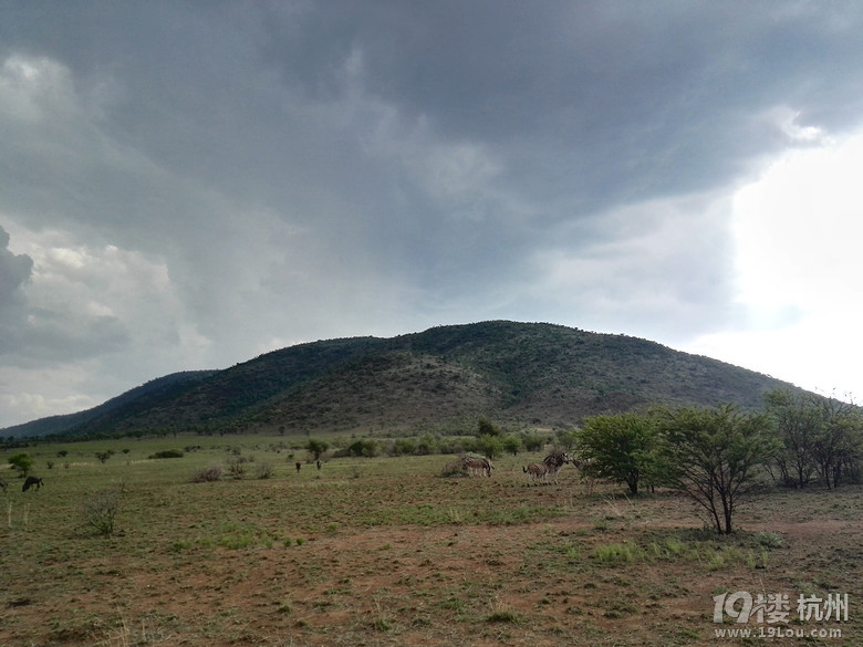 2016.2.23-3.1 带着父母去旅行----南非（South Africa）8日游