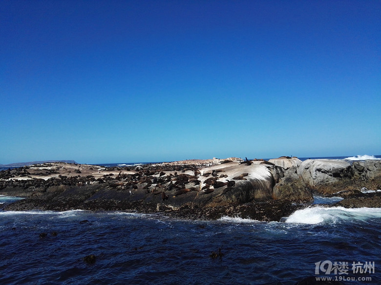 2016.2.23-3.1 带着父母去旅行----南非（South Africa）8日游
