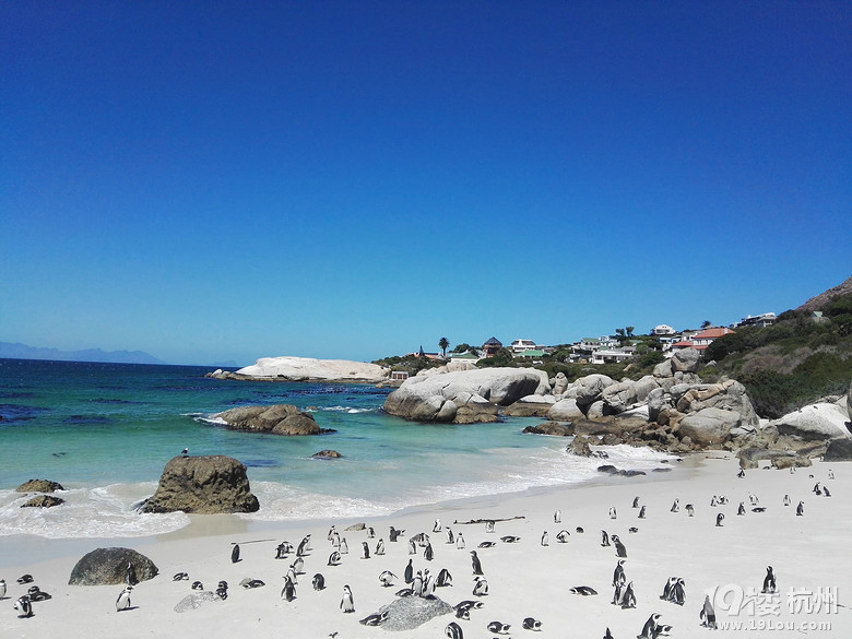 2016.2.23-3.1 带着父母去旅行----南非（South Africa）8日游